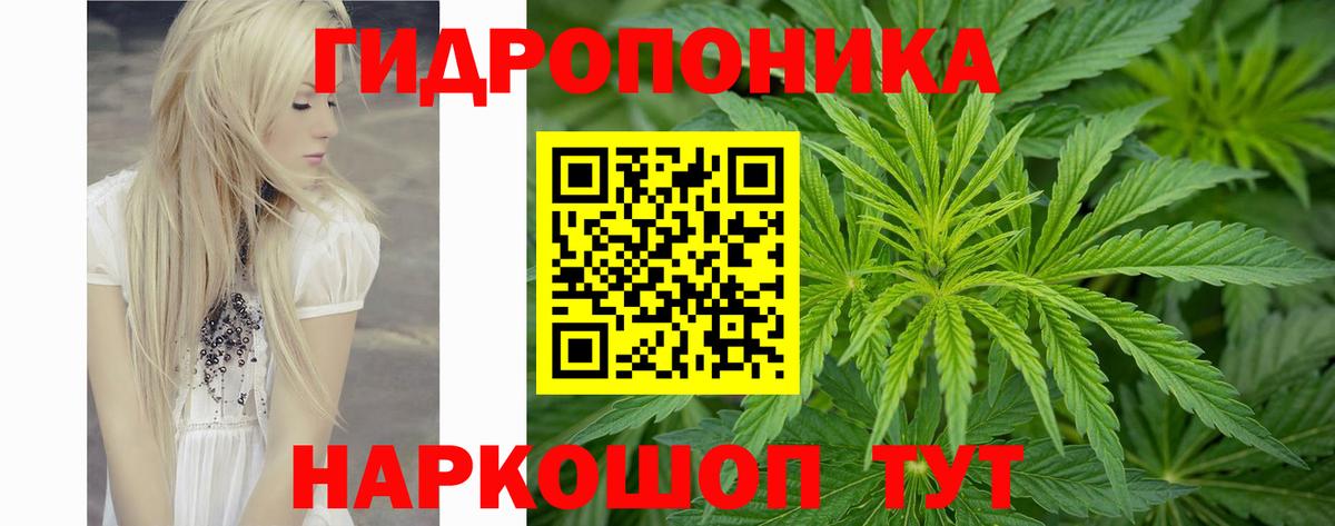 Конопля AK-47  Вход с VPN  Южно-Сахалинск  Канабис план 